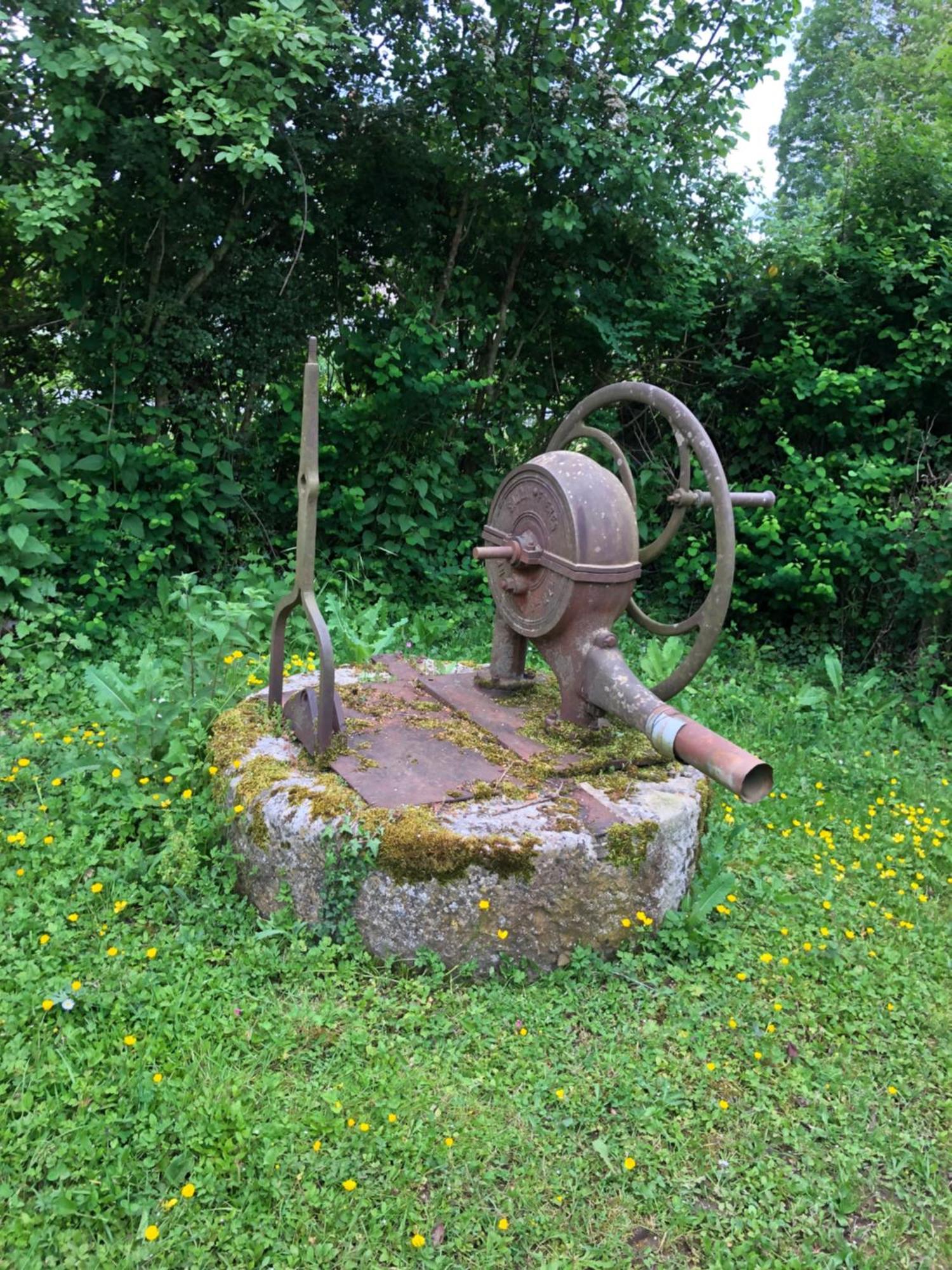 Gite Aux Anes Avec Spa Menetou-Ratel Esterno foto